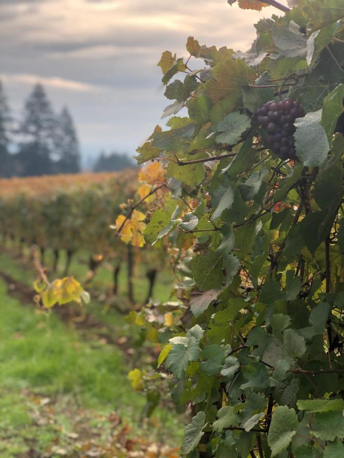 The Setting Inn Willamette Valley Newberg Exteriör bild